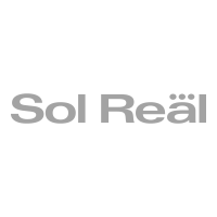 SOL-REAL